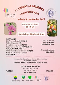 10. območna razstava